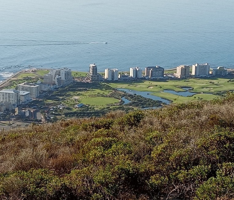 A picture near Cape Town South Africa