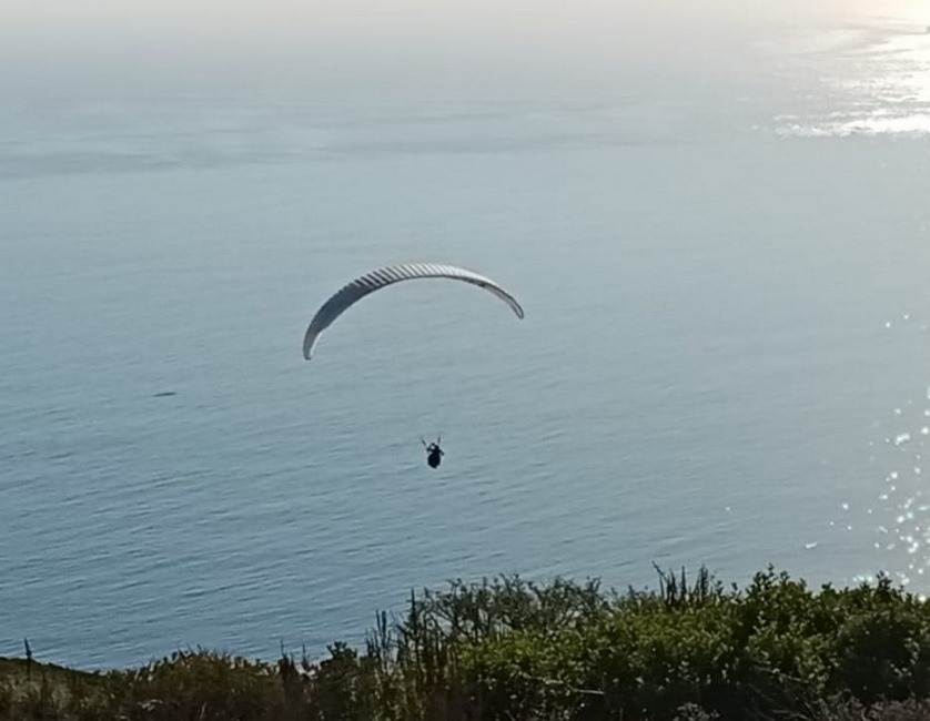 A picture of a paraglider near Cape Town
