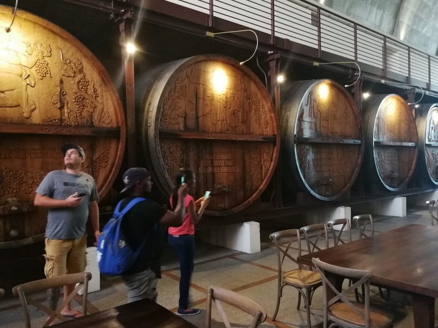A picture of people looking at big wine barrels in a wine cellar