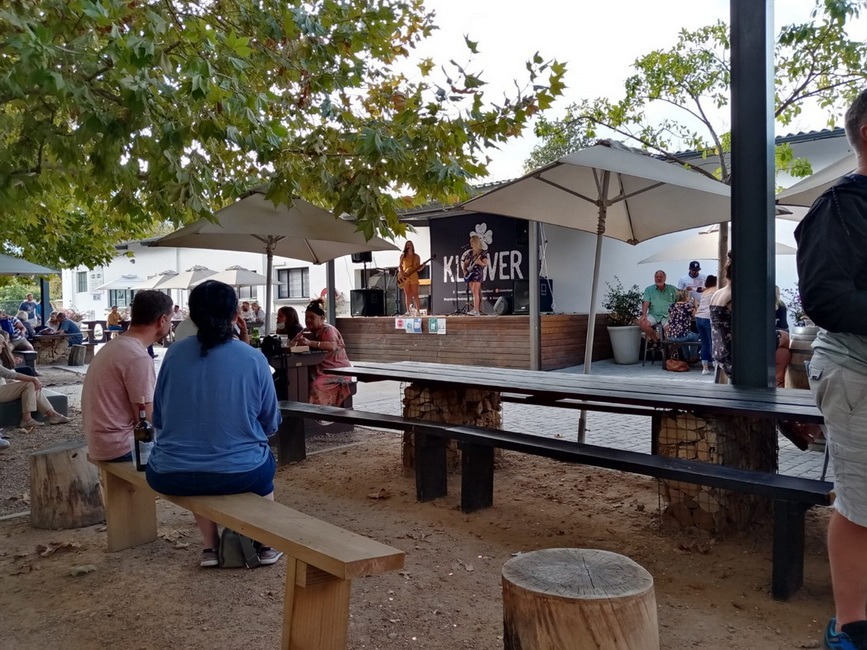 A picture of people being entertained on a wine farm